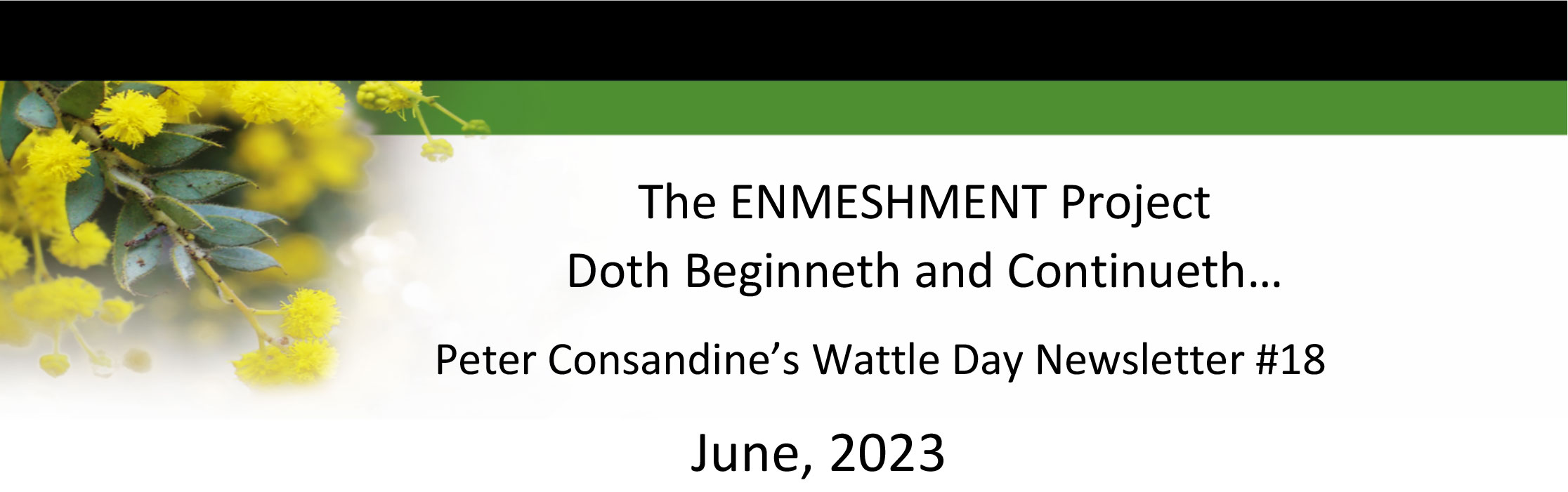The Enmeshment Project Wattle Day Newsletter No 18 2023